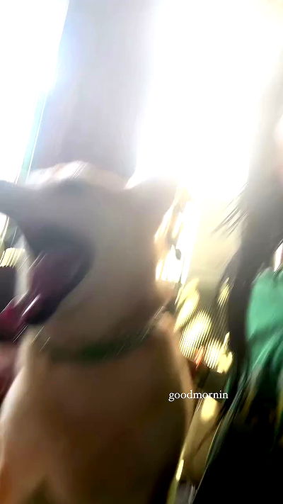 zommmbri zommmbri archive video