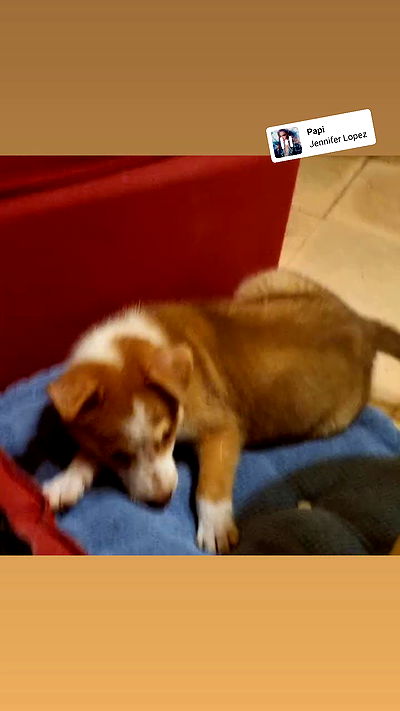 shayli_or shayli_or archive video