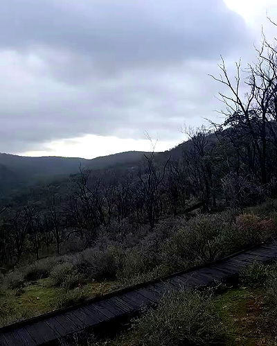 piper.jaylen piper.jaylen archive video