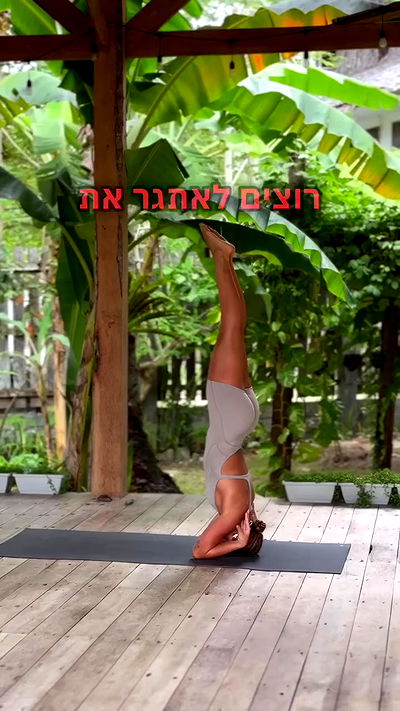 liad.arazi liad.arazi archive video