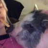 novahnovielli Altpins Profile Picture