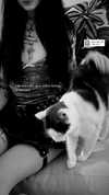 livindeadyaz Altpins Profile Picture