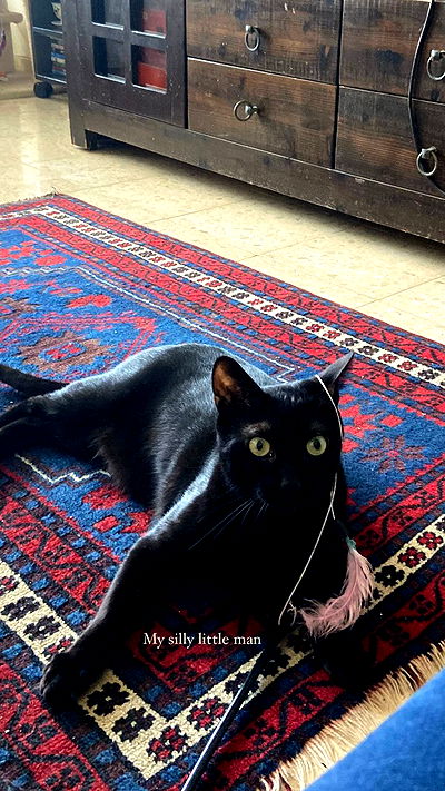 feelbetterinmysweater feelbetterinmysweater archive video