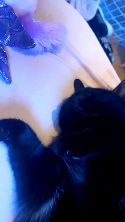 hellokittyangel666 hellokittyangel666 archive video