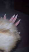sophiagiannamore Altpins Profile Picture