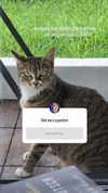 nyachty Altpins Profile Picture