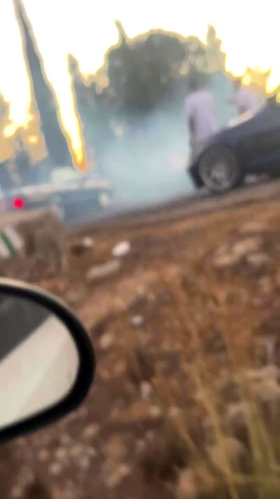 simp_for_cats_ simp_for_cats_ archive video