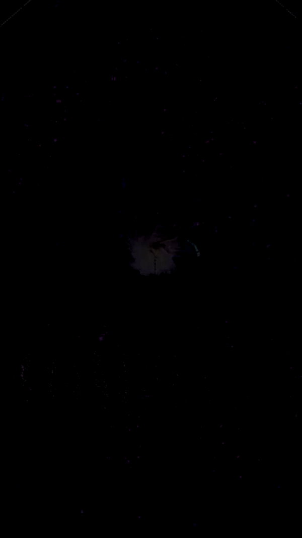 taylorswift archive video preview