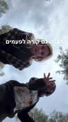 avitallllllll Altpins Profile Picture