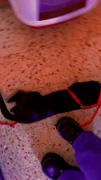 feelbetterinmysweater feelbetterinmysweater archive video