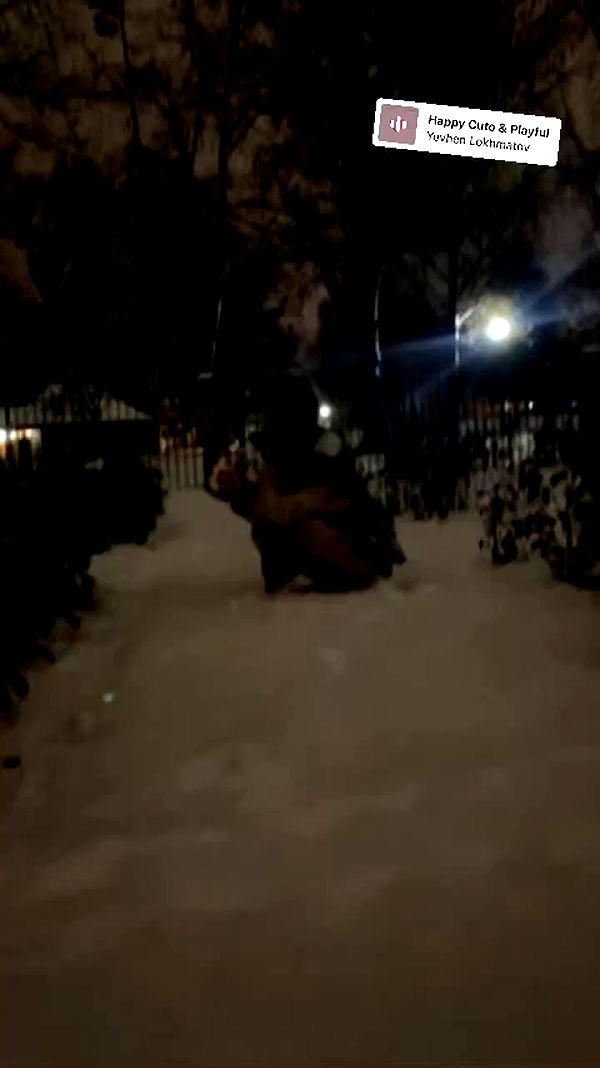 _animechika_ archive video preview