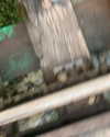 karin.ben.yair Altpins Profile Picture