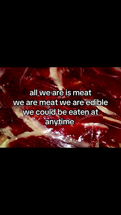 feelbetterinmysweater feelbetterinmysweater archive video