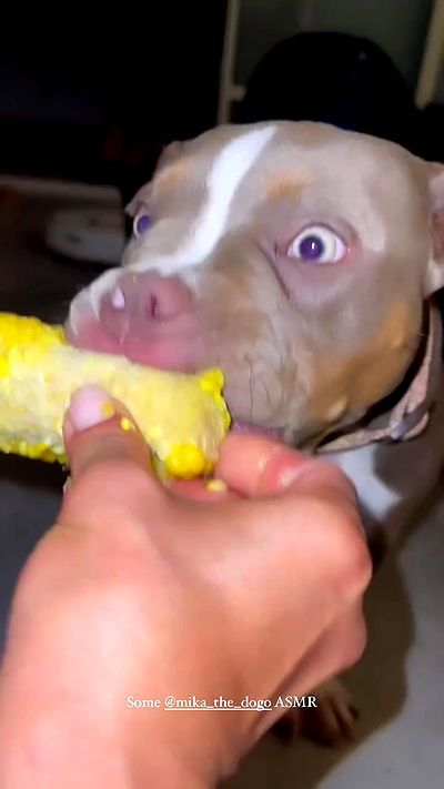 kesemgreenyer kesemgreenyer archive video