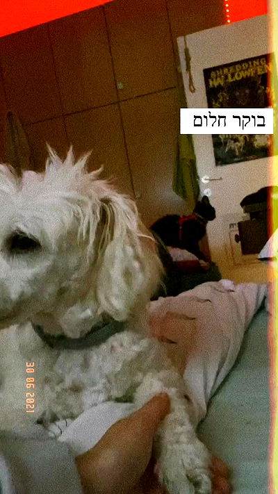 feelbetterinmysweater feelbetterinmysweater archive video