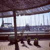 omer._shalom Altpins Profile Picture