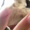 dakotabell05 Altpins Profile Picture