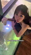 dinasaur_0_0_ Altpins Profile Picture