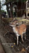 tori_t96 Altpins Profile Picture