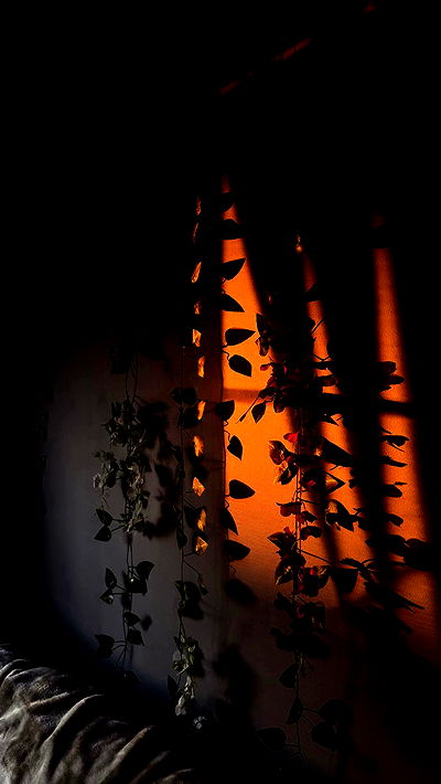 piper.jaylen piper.jaylen archive video