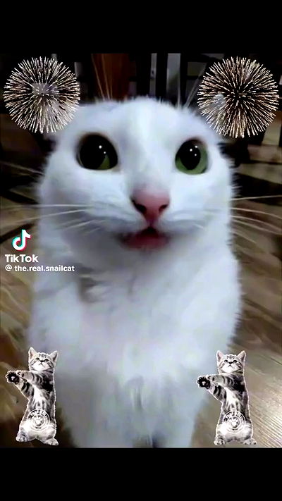 ninja.vi ninja.vi archive video