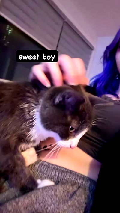 9bitez 9bitez archive video