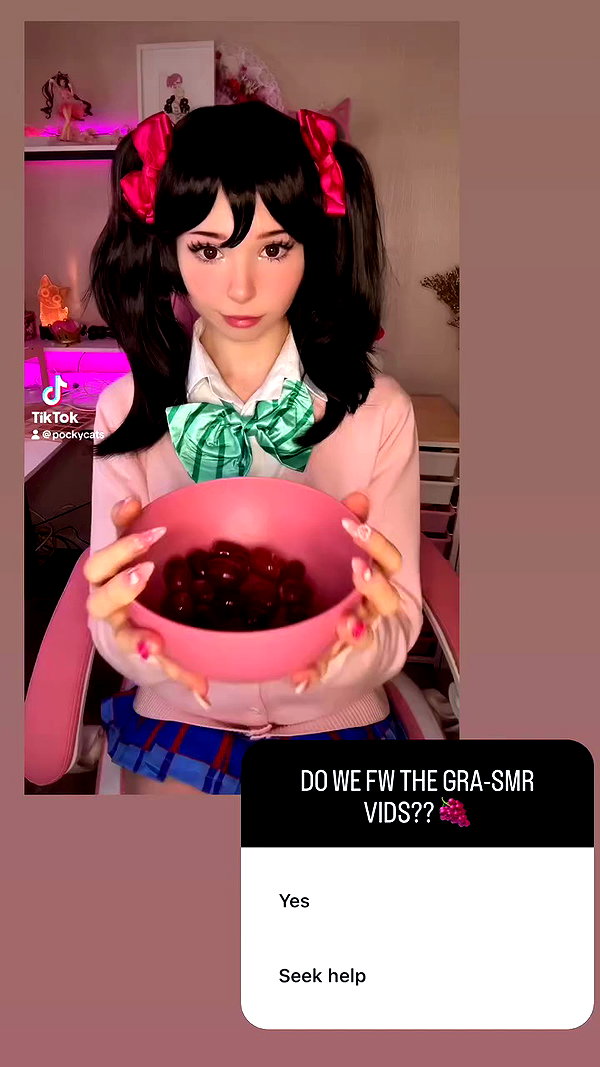 pockycatt archive video preview