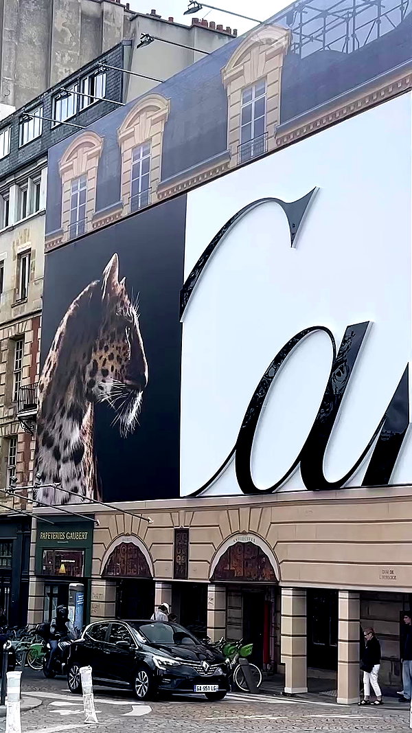 maayan191 archive video preview