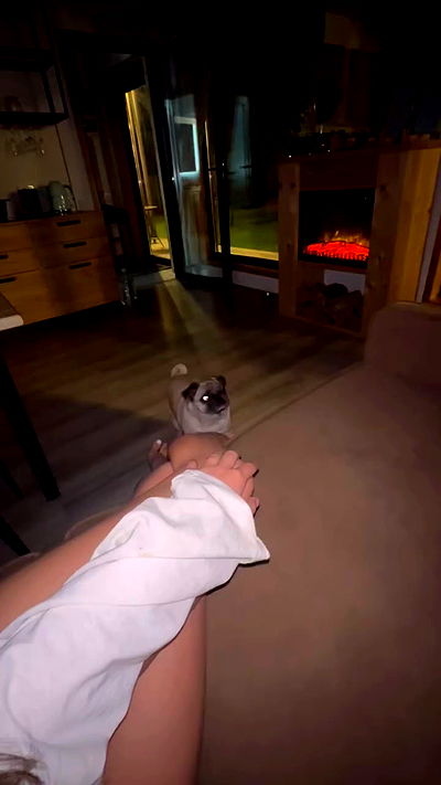 nyityam nyityam archive video