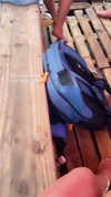 alinaaignatova Altpins Profile Picture
