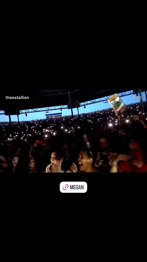 theestallion archive video preview