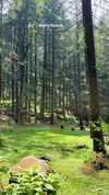 noa_mendel_ Altpins Profile Picture
