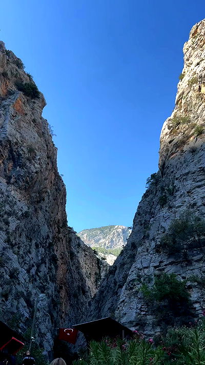 annfigma annfigma archive video