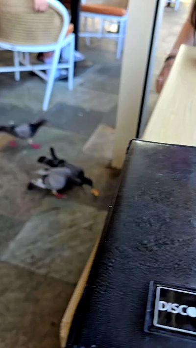 lilith.hecate lilith.hecate archive video