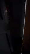 liya_manor_ Altpins Profile Picture