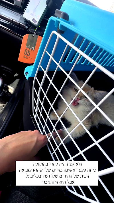 itsilanosh itsilanosh archive video