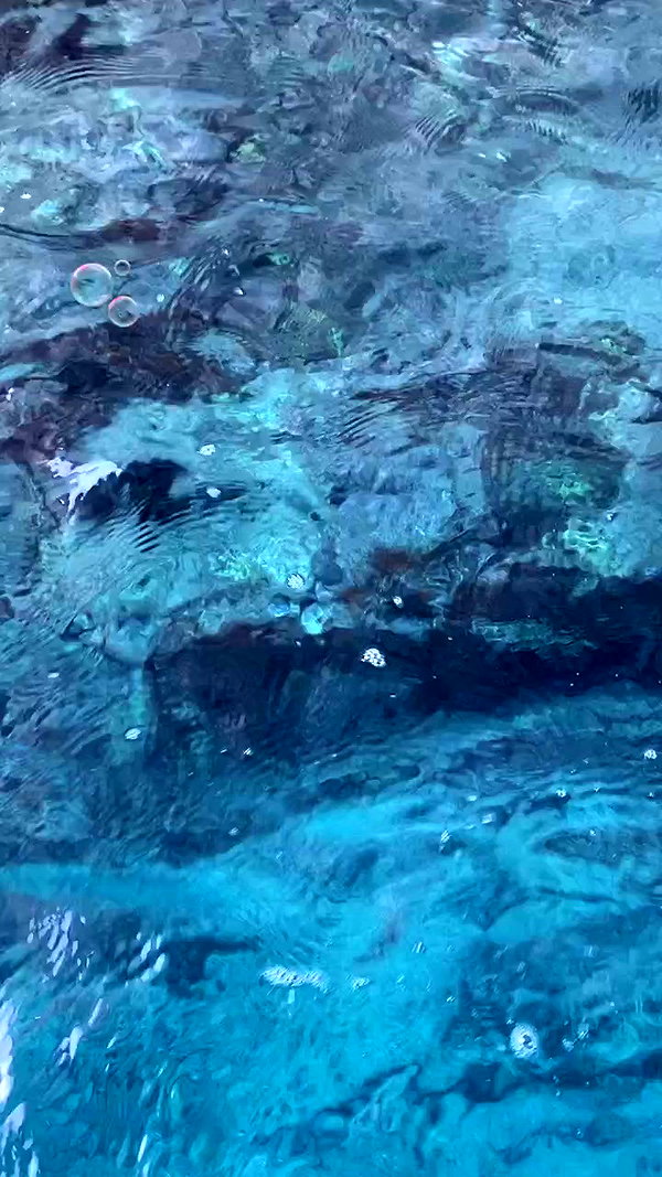 flo_holland53 archive video preview