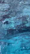 flo_holland53 Altpins Profile Picture
