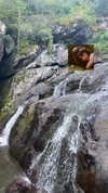karis.gutz Altpins Profile Picture