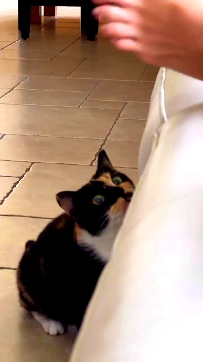 itsilanosh itsilanosh archive video