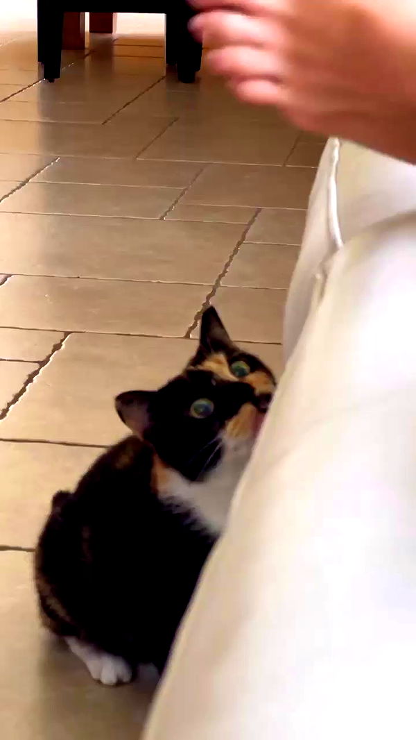 itsilanosh archive video preview