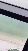 shira__adar_ Altpins Profile Picture