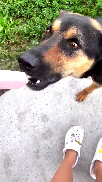 nyityam nyityam archive video