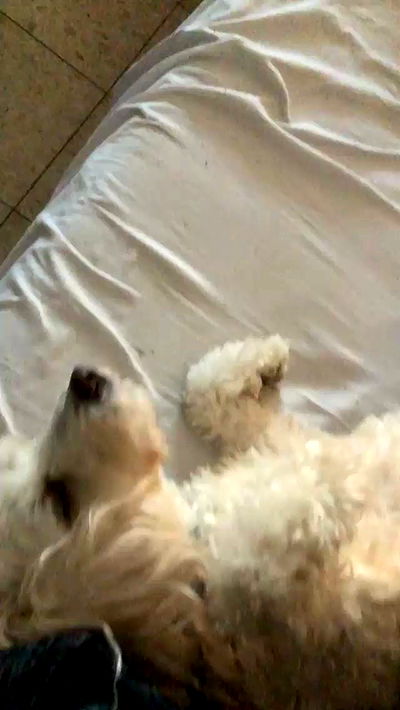 feelbetterinmysweater feelbetterinmysweater archive video