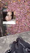 imlapahapa Altpins Profile Picture