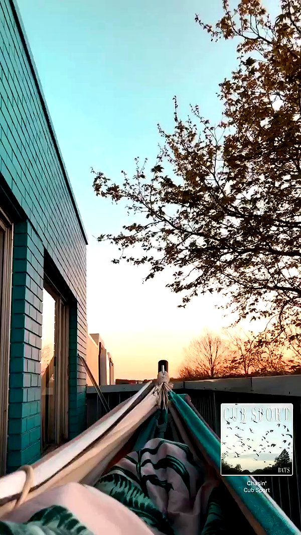 piper.jaylen archive video preview