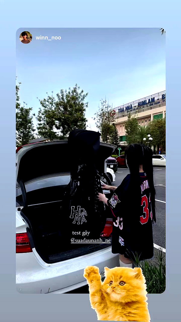 suadaunanh_ne archive video preview