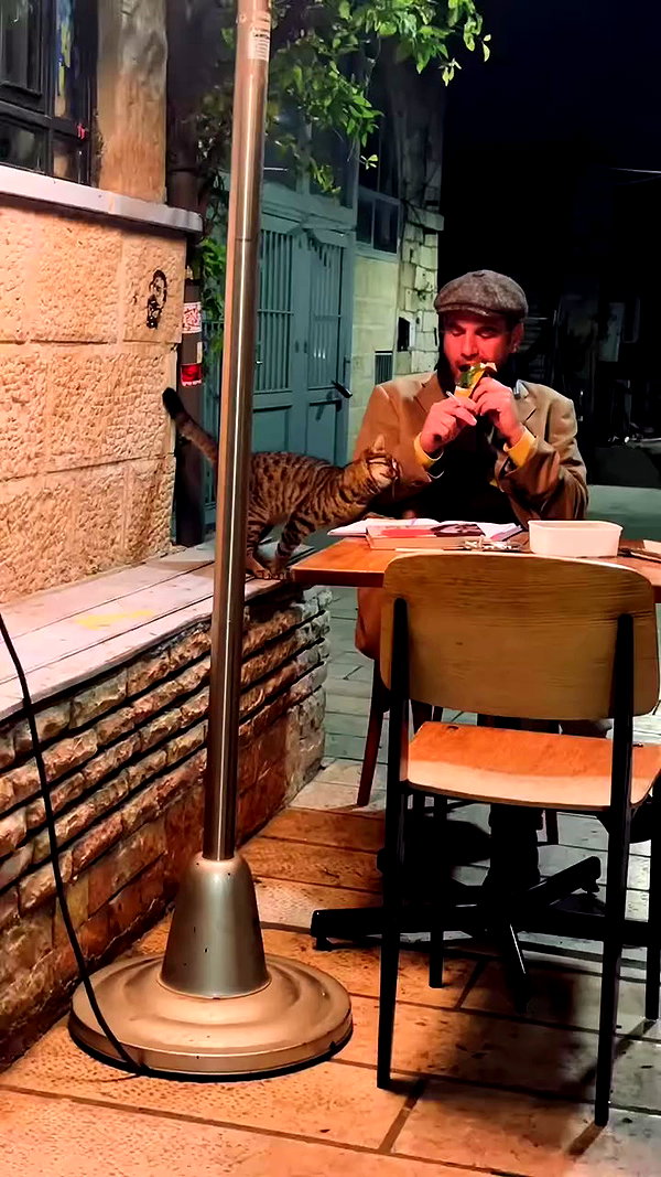 hadas_mayer_ archive video preview