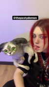 zaperwave Altpins Profile Picture