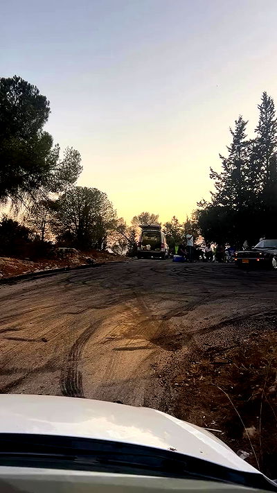 simp_for_cats_ simp_for_cats_ archive video